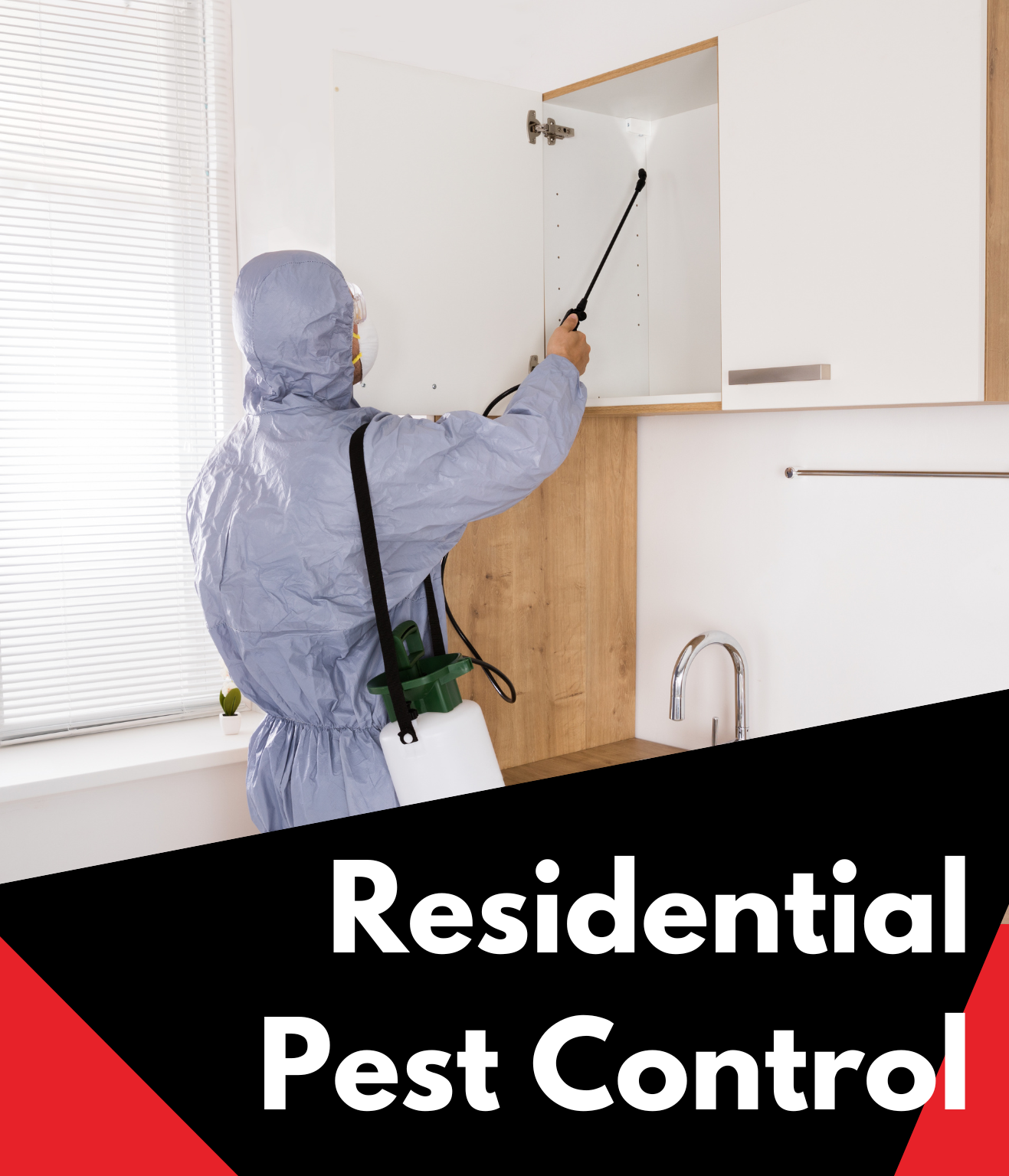 Temecula Exterminator Services - Integrity Pest Elimination