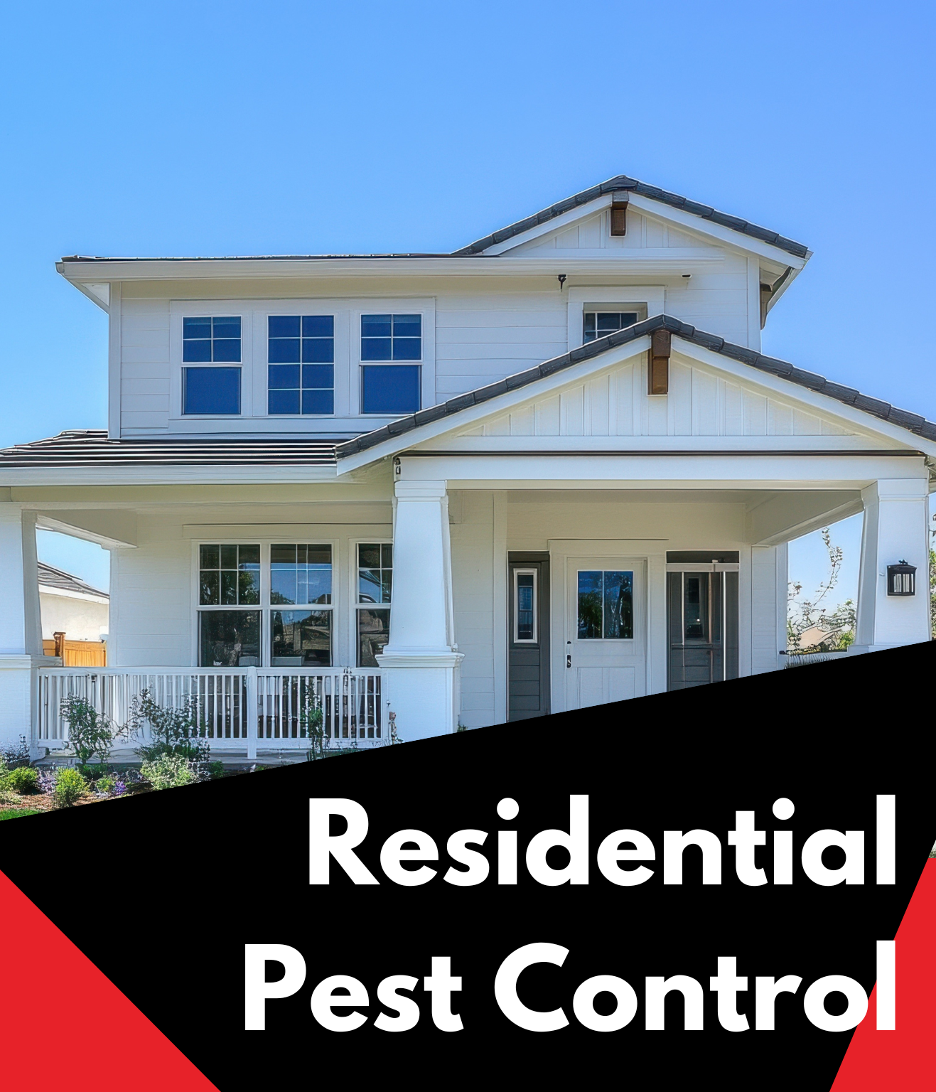 residental pest control (3)