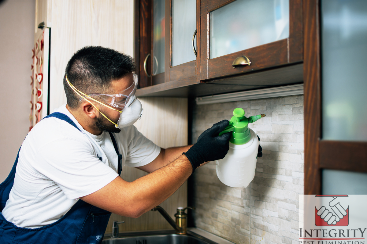 Pest Control in Temecula